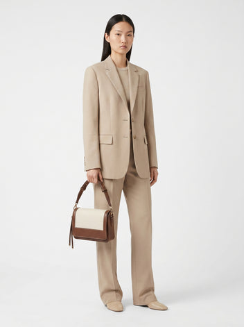Brown Model